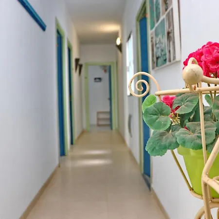 Estudio Canaveral Playa Conil Apartment