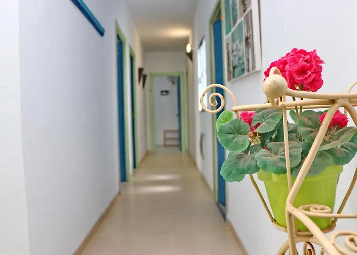 Estudio Canaveral Playa Conil Διαμέρισμα