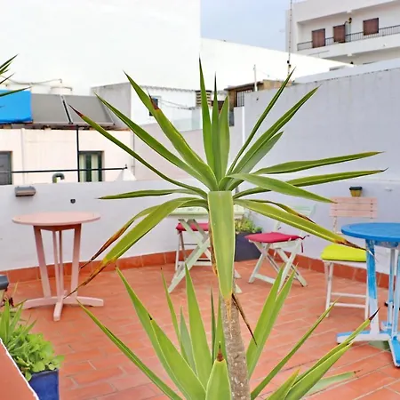 Estudio Cañaveral Playa Conil Conil De La Frontera